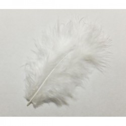 Pluma marabú 9/16 cm blanca