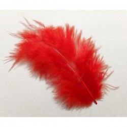 Pluma marabú 9/12 cm rojo