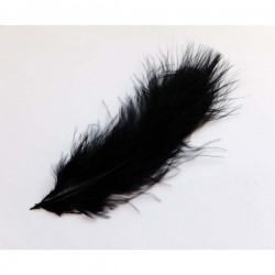 Pluma marabú 9/12 cm negra